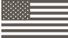 American Flag graphic